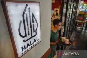 Pemerintah Perlu Pacu Industri Halal RI