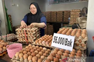 Permintaan Tinggi, Harga Telur Pun Ikut Naik di Gorontalo