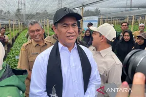 Stok Beras Indonesia 5,1 Juta Ton, Aman untuk Kebutuhan Pangan dan Hadapi El Nino