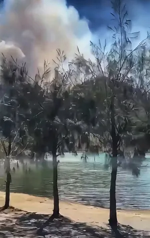 170 Pendaki Berhasil Dievakuasi Turun dari Ranu Kumbolo, Pemadaman Karhutla Gunung Semeru Masih Berlangsung