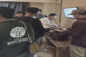 3 Ton Sisik Trenggiling Hendak Diselundupkan, WNA Vietnam Diamankan Kemenhut.