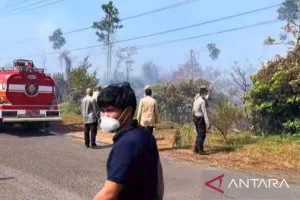 Api Melalap Hutan Kota Koba Bangka Tengah, Tim Gabungan Bergerak Cepat!