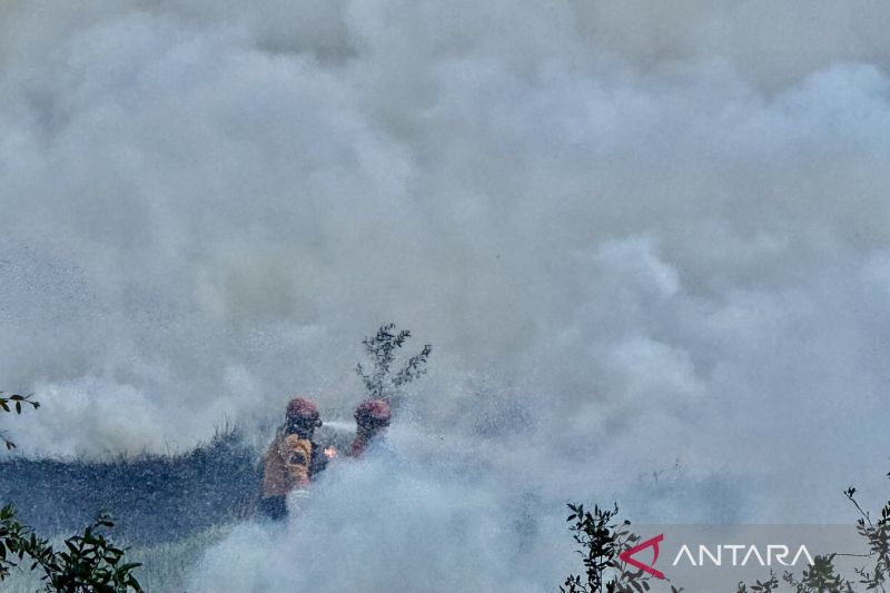Asap Karhutla Terus Meluas, Kasus ISPA di Kalsel Meningka...