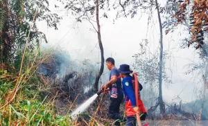 Damkar Gunungkidul Tangani 49 Karhutla Sepanjang Mei-Agustus