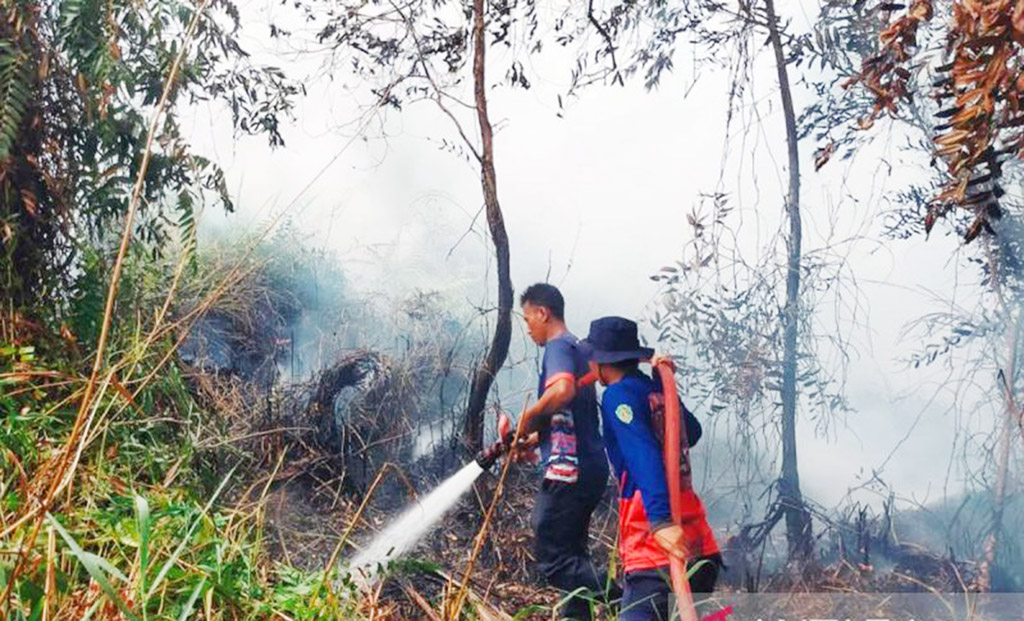 Damkar Gunungkidul Tangani 49 Karhutla Sepanjang Mei-Agustus