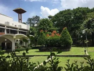 Industri Pangan Tak Boleh Jalan di Tempat, Riset IPB Buka Peluang Besar
