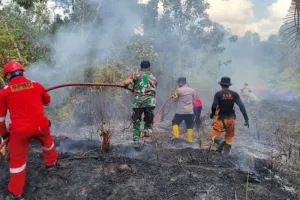 Karhutla Menggila di Penajam, Tim Gabungan Tangani 14 Kebakaran dalam 2 Hari