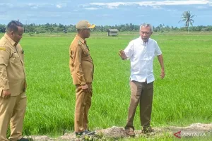 Kementerian PU Garap 4 Proyek Pengairan di Penajam Paser Utara, Dukung Ketahanan Pangan.