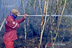 Lewat Pantauan Satelit, BMK...
