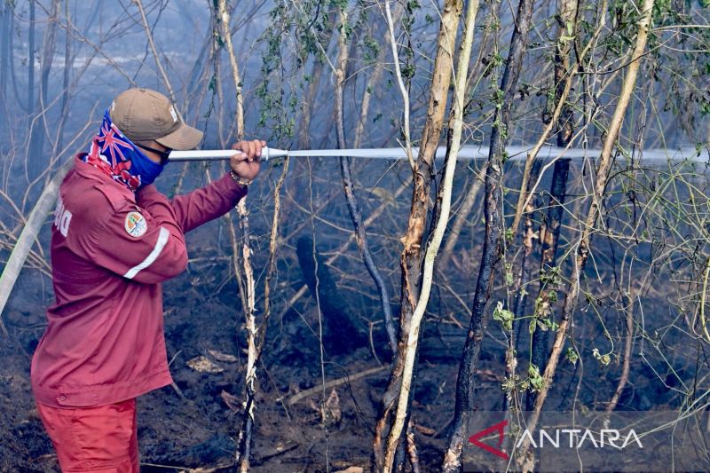 Lewat Pantauan Satelit, BMKG Deteksi 1.079 Titik Panas di Kalimantan Selatan pada Kamis