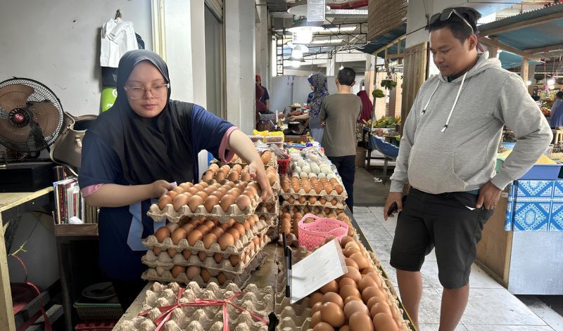 Pemerintah Dorong Penyerapan Telur Agar Harga Tak Terus T...