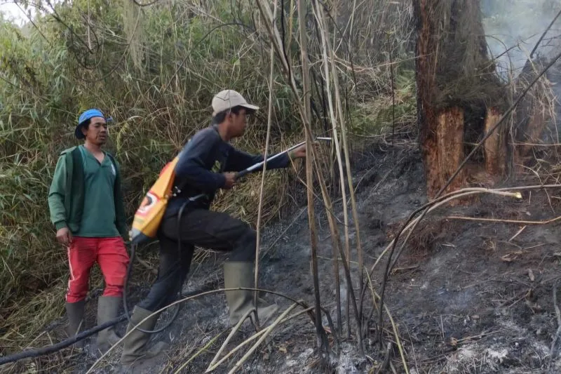 Gunung Semeru Ditutup Total untuk Pendakian Pasca Kebakaran di Ranu Kembang