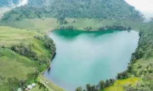 TNBTS: 170 Pendaki Gunung Semeru yang Dievakuasi Sudah Tiba di Ranupani dalam Kondisi Selamat