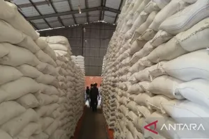 Bulog Sorong Datangkan 3.000 Ton Beras dari Jatim dan Jakarta, Stok Pangan Diperkuat hingga Akhir 2026.