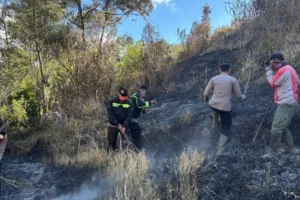 Gunung Semeru Dilanda Karhutla, Polres Lumajang Perkuat Tim Pemadaman.