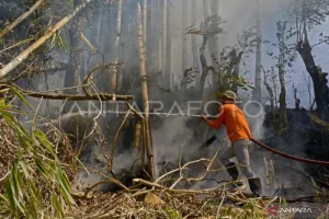 Karhutla Dekati Permukiman dan Sekolah di Barru, Tim Gabungan BNPB Terus Berjibaku.
