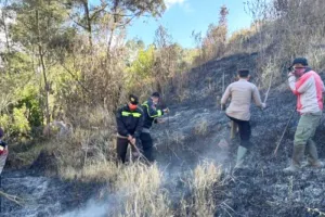 Polres Lumajang Bantu Padamkan Karhutla di Gunung Semeru dengan Kayu dan Ranting Pohon