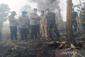 Ada Hadiah Rp5 Juta! Gubernur Kalteng Ajak Warga Laporkan Pelaku Karhutla di Kotim.