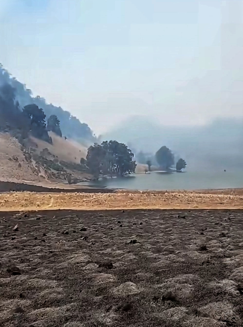 Bantaran Hangus Dampak Karhutla Semeru, Danau Ranu Kumbolo Kehilangan Pesona 
