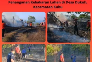 BPBD Bali Meningkatkan Kesiapsiagaan Menghadapi Luasan Dampak Kemarau