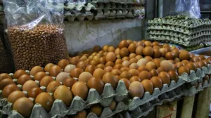 Pemkot Bandung: Harga Pangan Relatif Aman