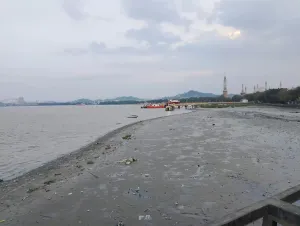 Debit Sungai Mahakam Menyusut, Wali Kota Samarinda Minta Warga Hemat Air Saat Kemarau Panjang