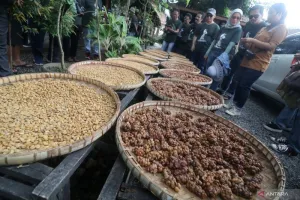 Dinas Pertanian: Kualitas Kopi Magelang Dapat Nilai yang Cukup Tinggi setelah Diuji