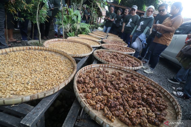 Dinas Pertanian: Kualitas Kopi Magelang Dapat Nilai yang Cukup Tinggi setelah Diuji