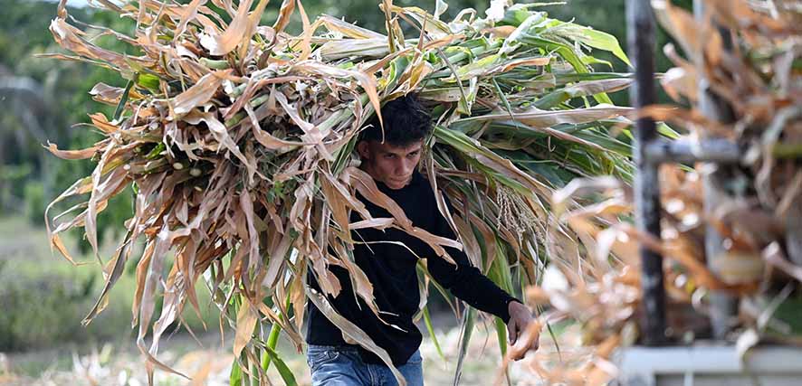 Ekuador Umumkan Keadaan Darurat El Nino