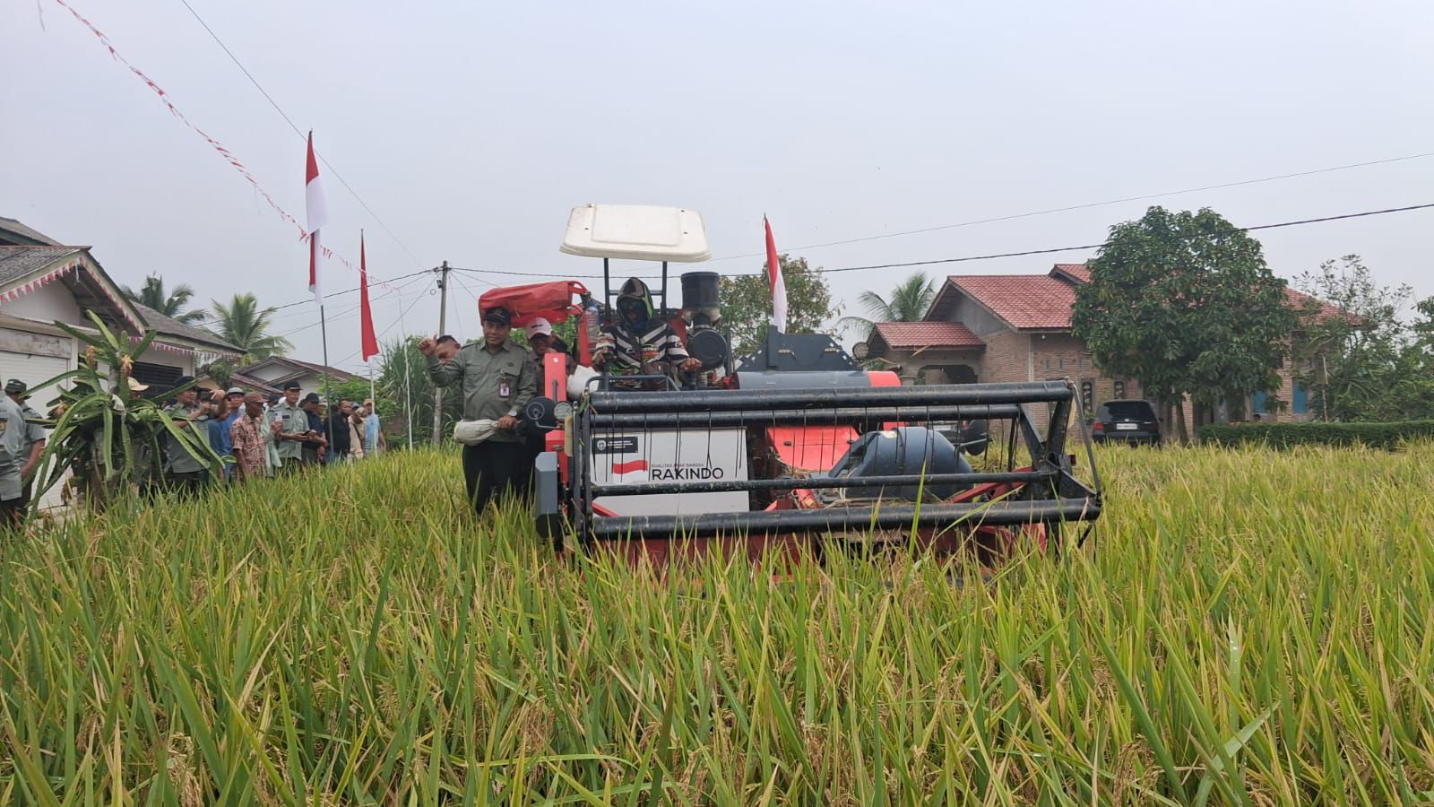 Gabungan Metode AS-Jajar Legowo! PM-AAS Kementan Pecahkan Rekor Produktivitas Padi