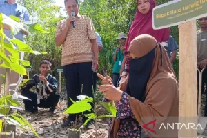 Kembangkan Budi Daya Kakao, Pemkab Sigi Libatkan Perempuan dan Milenial 