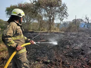 Kementerian Kehutanan Siaga Hadapi Lonjakan “Hotspot” Karhutla