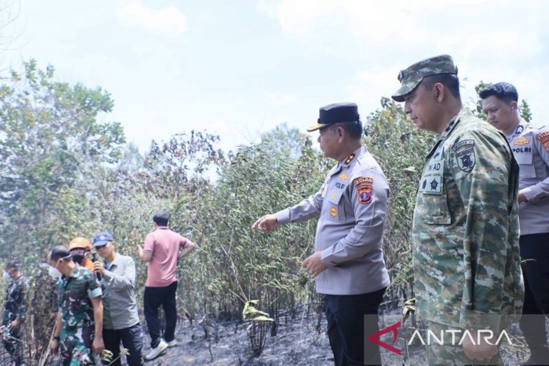 Kodam VI/Mulawarman Pulihkan Ekosistem Pascakarhutla di Kaltim-Kaltara