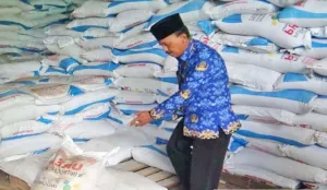 Pemkab Bangkalan Pastikan Kuota Pupuk Subsidi Aman Hingga Akhir 2026