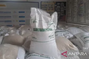 Perum Bulog: Penerima Bantuan Pangan di Pulau Bangka Tambah 12.000 Jadi 117.198 PBP