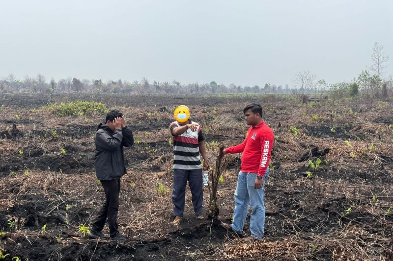 Polres Bengkalis Tetapkan YS Tersangka, Diduga Garap Lahan Sawit di Kawasan Hutan.