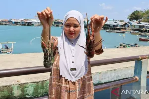 Saat Lobster Tak Lagi Melimpah, Pengepul Menemukan Jalan Lewat Kuliner