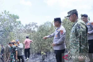 Tak Tinggal Diam! Kodam VI/Mulawarman Pulihkan Ekosistem Kaltim dan Kaltara Pascakarhutla