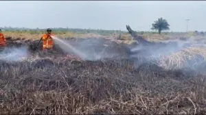 Tim Alpha Fastrope ke Titik Api Karhutla Pekanbaru, Siap Buka Jalan Tim Free Fall.