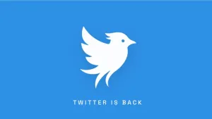 Twitter Hadir Lagi, Bluebird Ambil Alih Merek Dagang Pasca Ditinggalkan Elon Musk