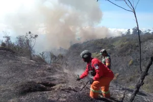 Api Meluas di Lereng Gunung Semeru, Karhutla Sudah Sentuh 600 Hektare