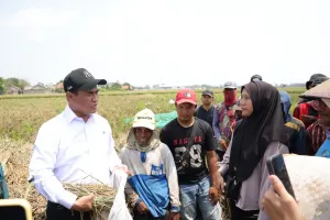 Aturan Diubah! Buruh Tani Penghasilan Rp30 Ribu Kini Bisa Dapat Alsintan
