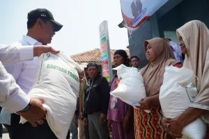 Bapanas Gelontorkan 1,66 Juta Ton Beras Sepanjang 2026! Naik 133% dari Tahun Lalu