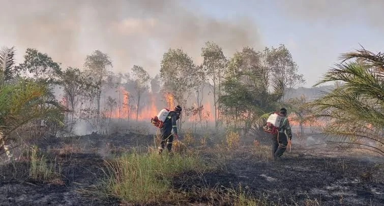 BMKG Prediksi Hujan akan Guyur Sejumlah Provinsi yang Dil...