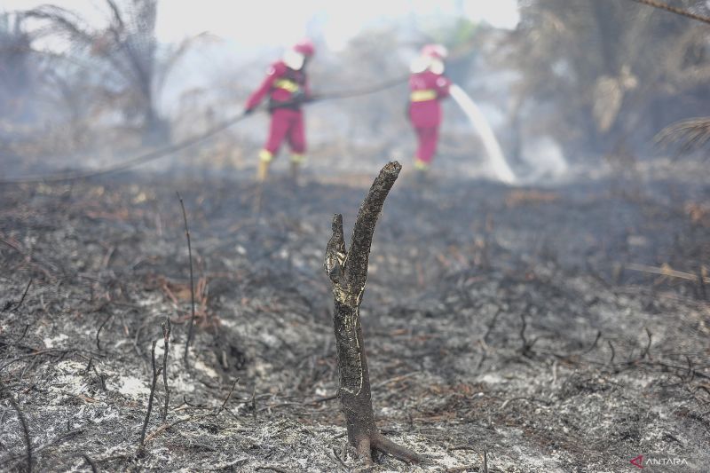 Cegah Kabut Asap Lintas Batas, KLH Masif Tangani Karhutla di Sumatera dan Kalimantan.