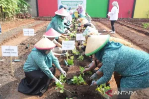 Gerakan Menanam: Pemkot Jakarta Timur Tanam 417 Bibit Pangan Pendamping Beras di Ciracas
