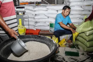 Harga Beras Berfluktuasi, S...