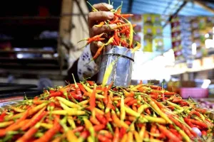 Harga Cabai Rawit Rp87.250/Kg, Telur Ayam Rp31.450/Kg