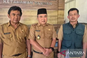 Jaga Produksi Padi, Pemkab Sumedang Optimalkan Irigasi Tersier 