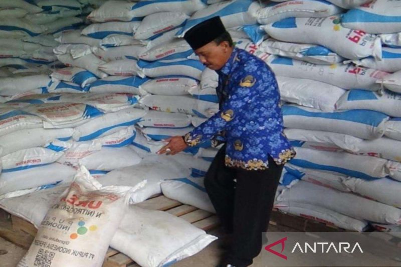 Kabar Baik untuk Petani Bangkalan! Kuota Pupuk Subsidi Dipastikan Aman hingga Akhir 2026